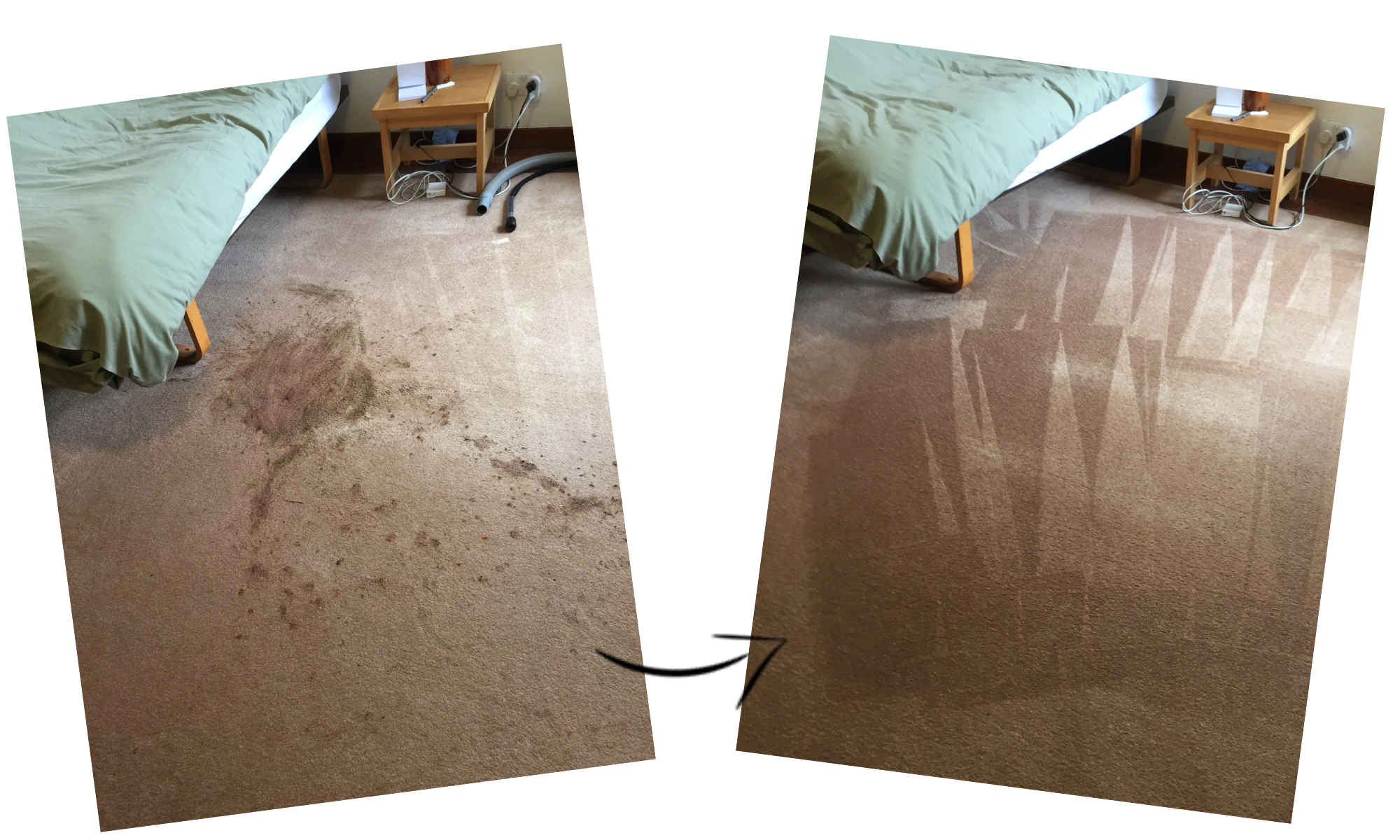 carpets cleaned before and after